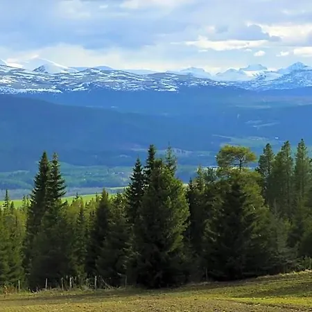 Tronsvangen Seter Hostel Alvdal
