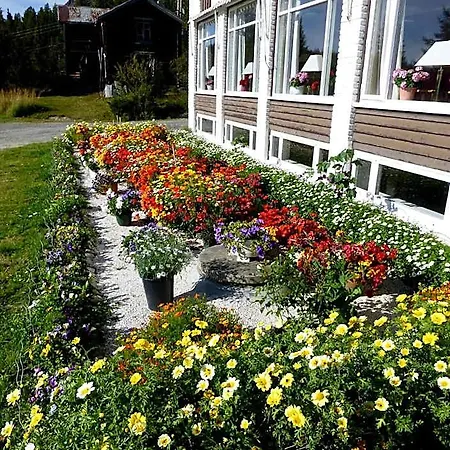 Tronsvangen Seter Hostel Alvdal