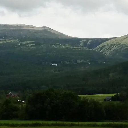 Vandrerhjem Tronsvangen Seter
