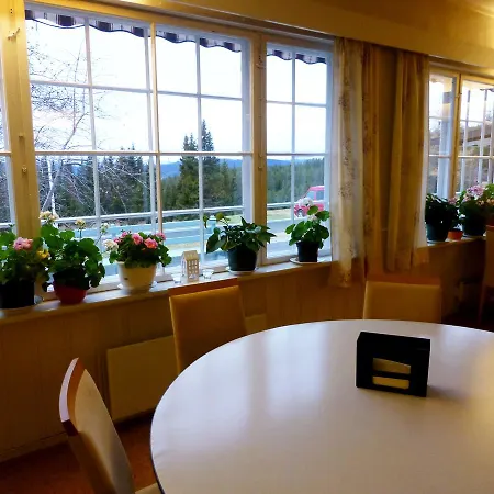 Vandrerhjem Tronsvangen Seter Alvdal