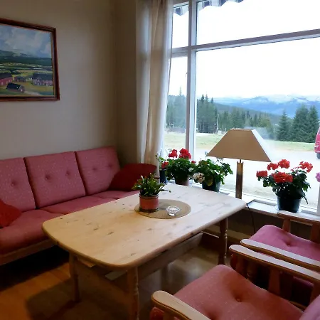 Tronsvangen Seter Vandrerhjem Alvdal