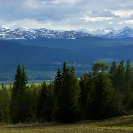 Hostel Tronsvangen Seter *