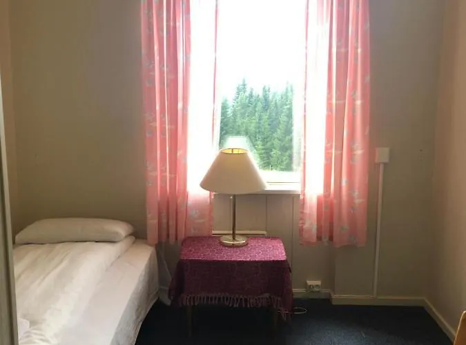Hostel Tronsvangen Seter *