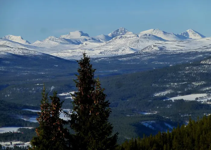 Tronsvangen Seter Hostel