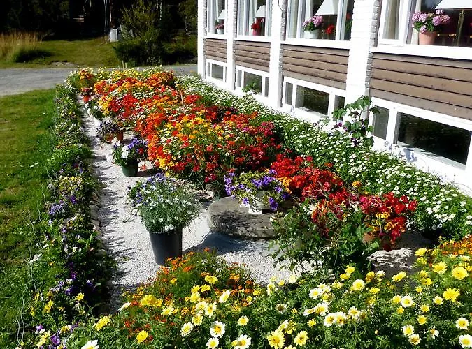 Tronsvangen Seter Hostel *