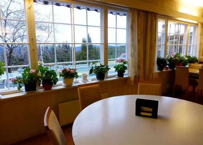 Hostel Tronsvangen Seter Alvdal