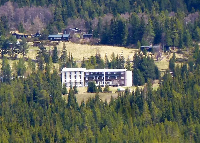 Hostel Tronsvangen Seter Alvdal