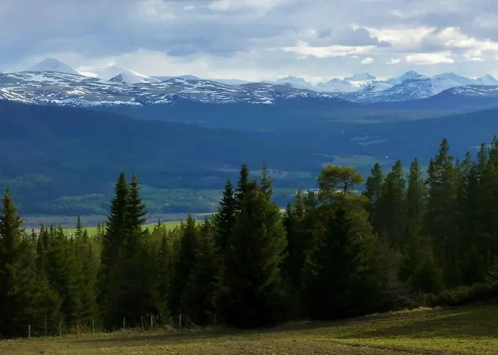 Hostel Tronsvangen Seter *