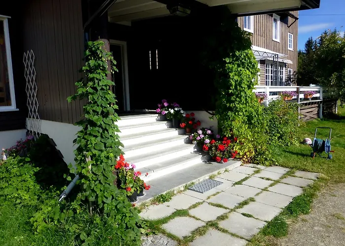 Vandrerhjem Tronsvangen Seter