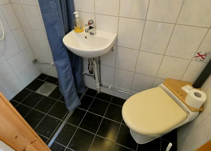 Tronsvangen Seter Vandrerhjem Alvdal