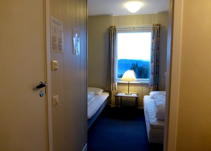 Vandrerhjem Tronsvangen Seter Alvdal